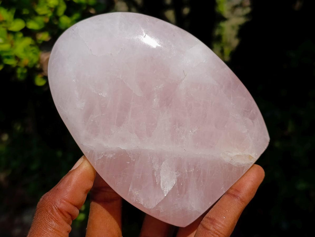 Polished Rose Quartz Standing Display Pieces x 6 From Zimbabwe
