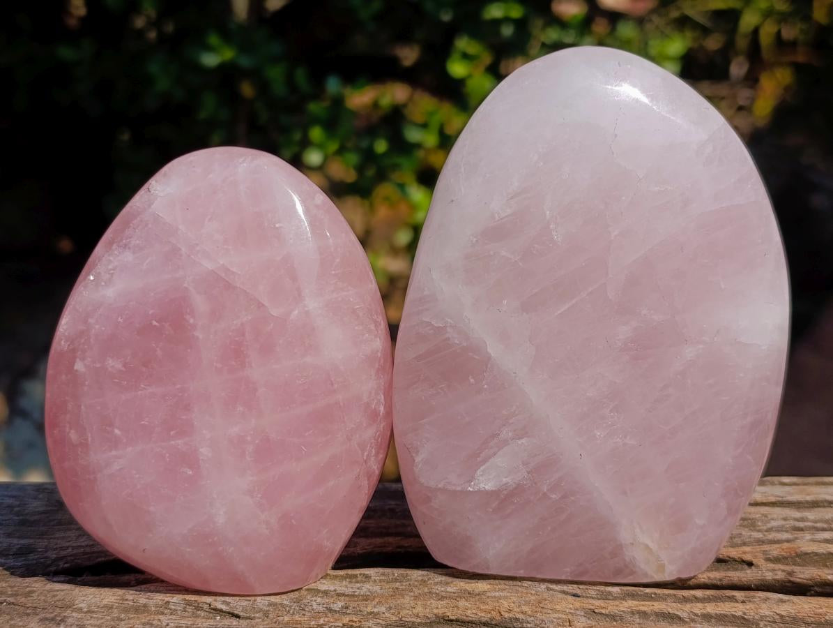 Polished Rose Quartz Standing Display Pieces x 6 From Zimbabwe