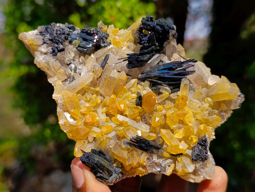 Natural Smokey Quartz Clusters with Associated Minerals x 6 From Erongo, Namibia