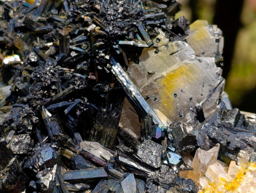 Natural Smokey Quartz Clusters with Associated Minerals x 6 From Erongo, Namibia