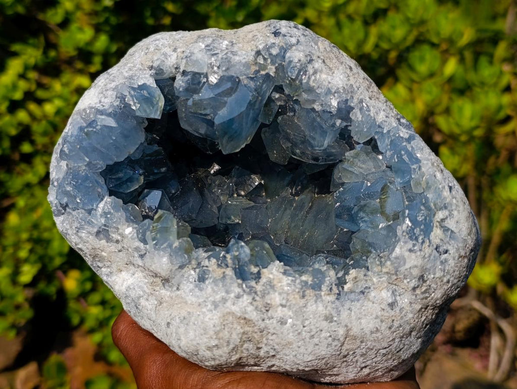 Natural Large Blue Celestite Geode Specimen x 1 From Sakoany, Madagascar