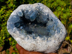 Natural Large Blue Celestite Geode Specimen x 1 From Sakoany, Madagascar
