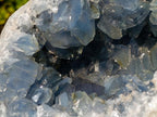 Natural Large Blue Celestite Geode Specimen x 1 From Sakoany, Madagascar