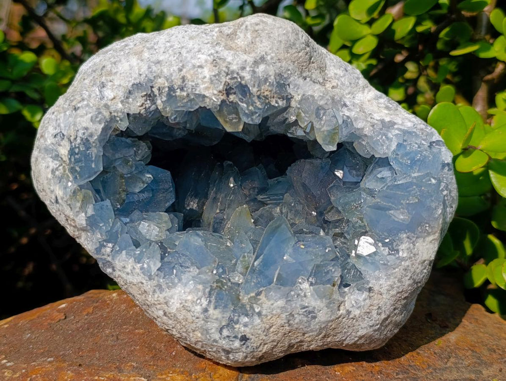 Natural Large Blue Celestite Geode Specimen x 1 From Sakoany, Madagascar