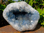 Natural Large Blue Celestite Geode Specimen x 1 From Sakoany, Madagascar