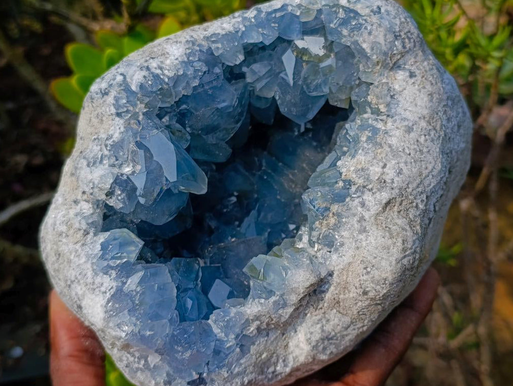 Natural Large Blue Celestite Geode Specimen x 1 From Sakoany, Madagascar