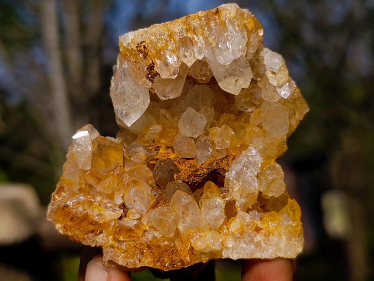 Natural Golden Limonite Quartz Clusters x 6 From Solwezi, Zambia