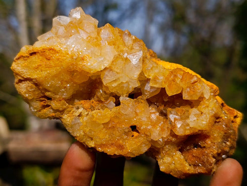 Natural Golden Limonite Quartz Clusters x 6 From Solwezi, Zambia