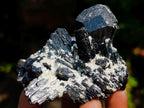 Natural Mix of Mineral Specimens x 8 From Erongo, Namibia