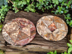 Hand Made Red Podocarpus Petrified Wood Conglomerate Plaques x 2 From Mahajanga, Madagascar