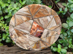 Hand Made Red Podocarpus Petrified Wood Conglomerate Plaques x 2 From Mahajanga, Madagascar