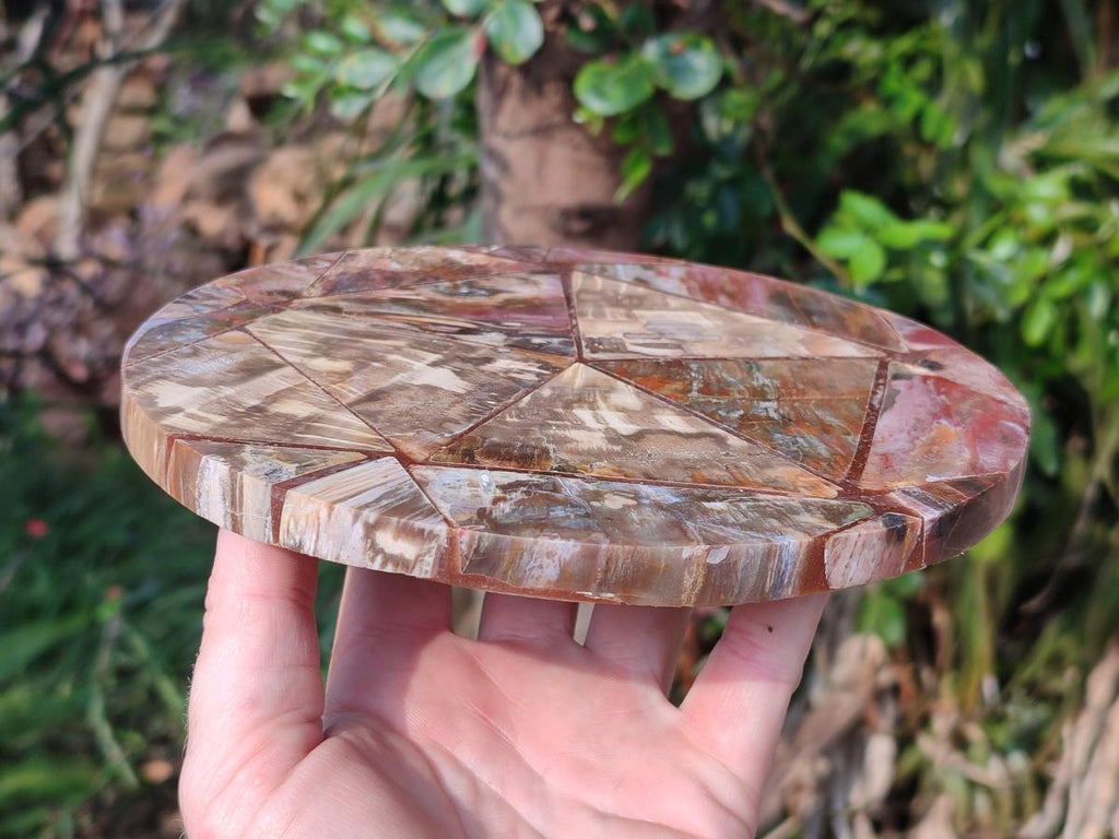 Hand Made Red Podocarpus Petrified Wood Conglomerate Plaques x 2 From Mahajanga, Madagascar