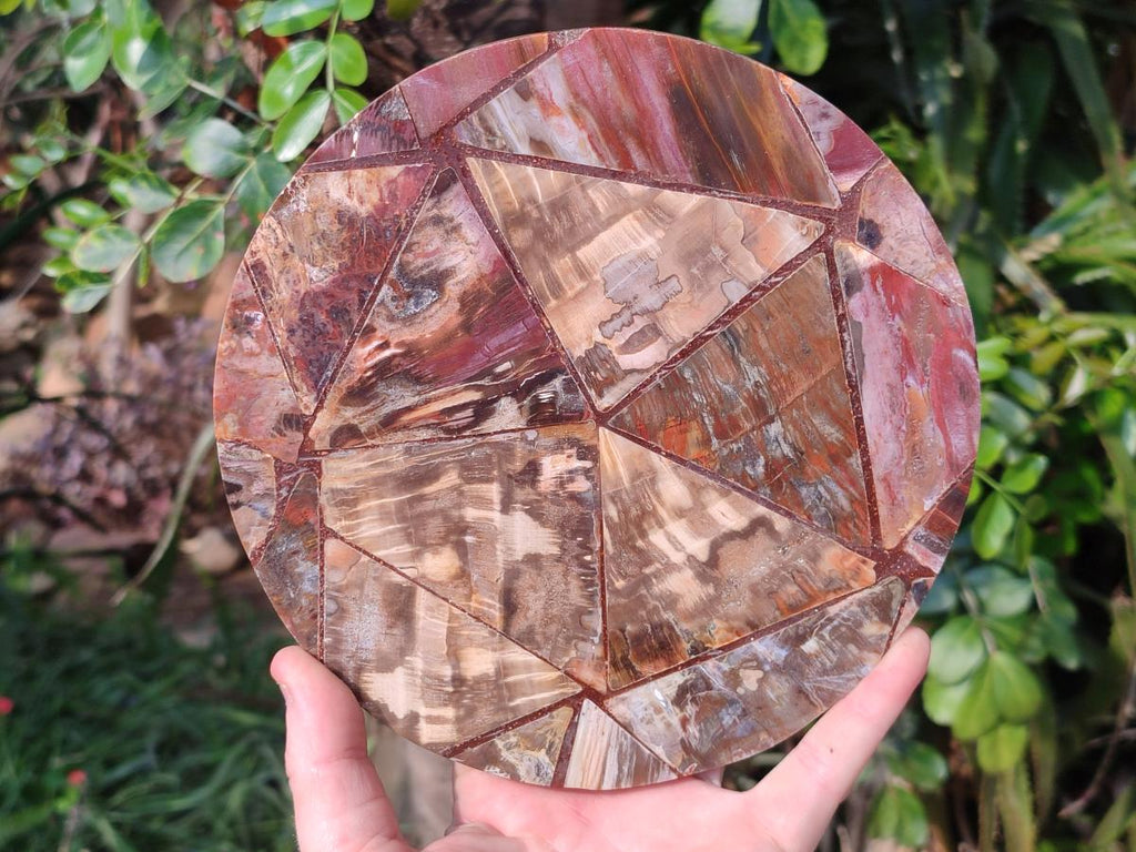 Hand Made Red Podocarpus Petrified Wood Conglomerate Plaques x 2 From Mahajanga, Madagascar