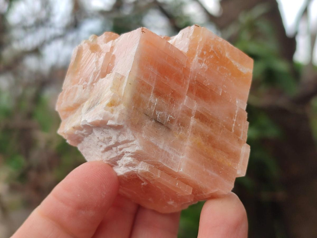 Natural Rhombohedral Sunset Orange Calcite Specimens x 12 From Spitzkop, Namibia