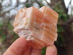 Natural Rhombohedral Sunset Orange Calcite Specimens x 12 From Spitzkop, Namibia