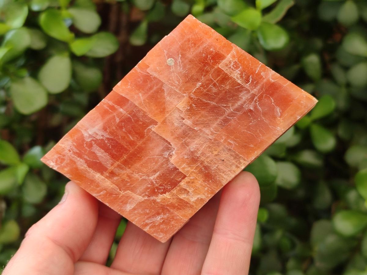 Natural Rhombohedral Sunset Orange Calcite Specimens x 12 From Spitzkop, Namibia