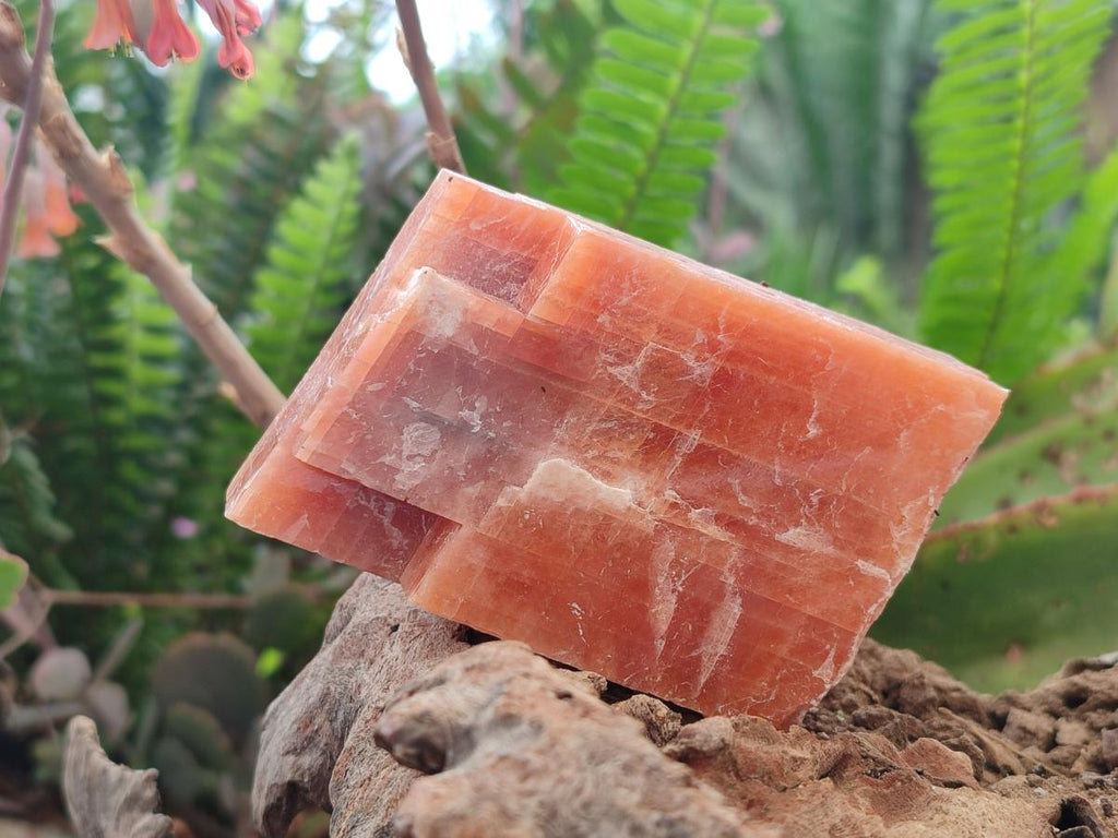 Natural Rhombohedral Sunset Orange Calcite Specimens x 12 From Spitzkop, Namibia