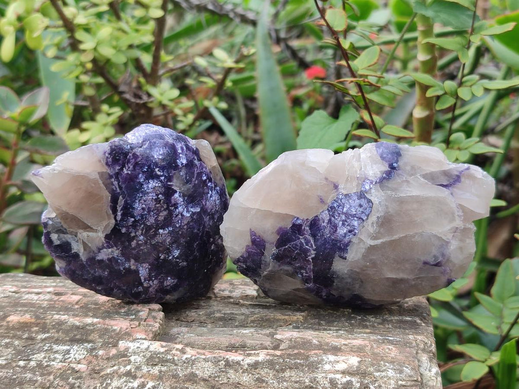 Polished One Side Lithium Silver Leaf Lepidolite x 12 From Zimbabwe