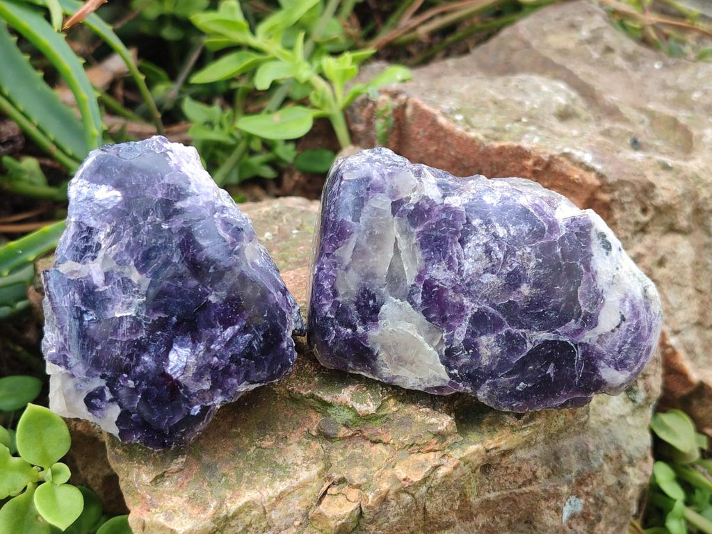 Polished One Side Lithium Silver Leaf Lepidolite x 12 From Zimbabwe