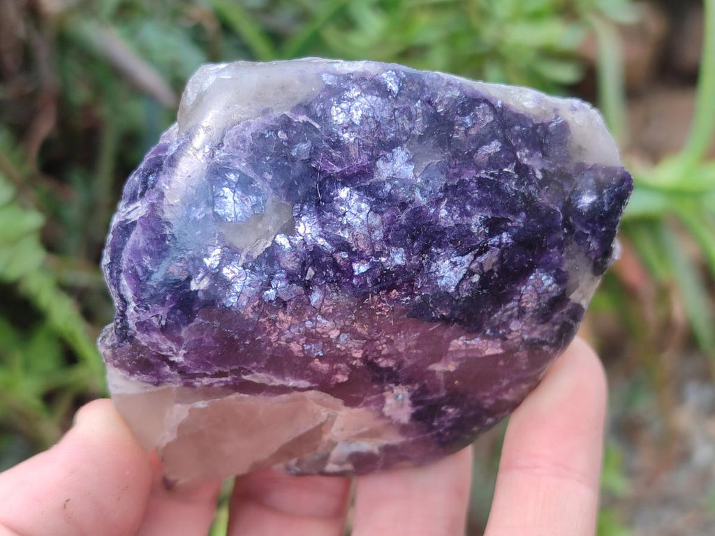 Polished One Side Lithium Silver Leaf Lepidolite x 12 From Zimbabwe