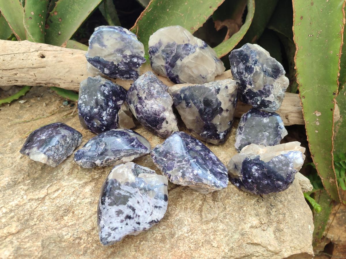 Polished One Side Lithium Silver Leaf Lepidolite x 12 From Zimbabwe