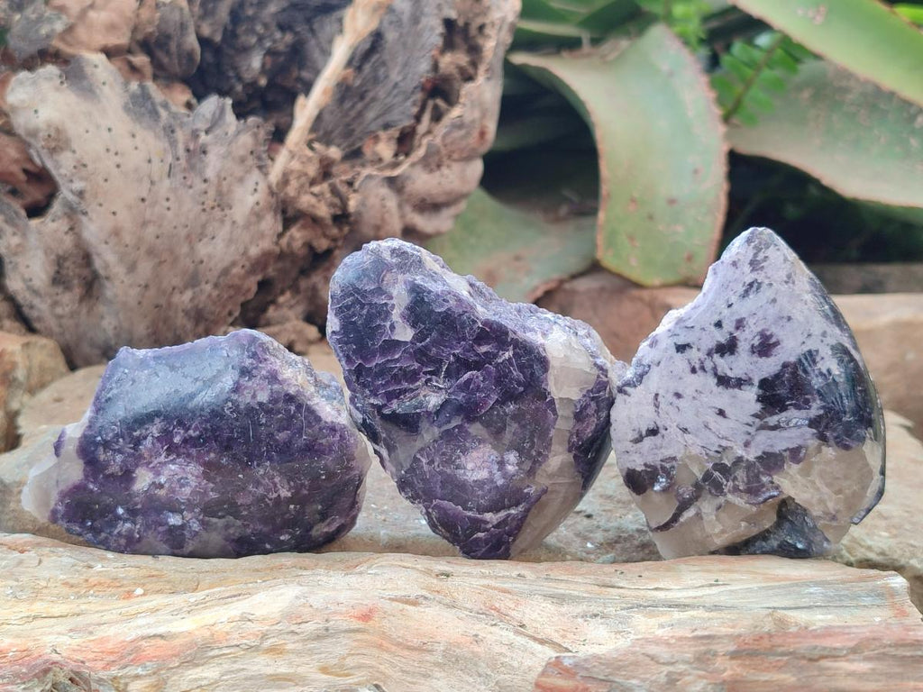 Polished One Side Lithium Silver Leaf Lepidolite x 12 From Zimbabwe