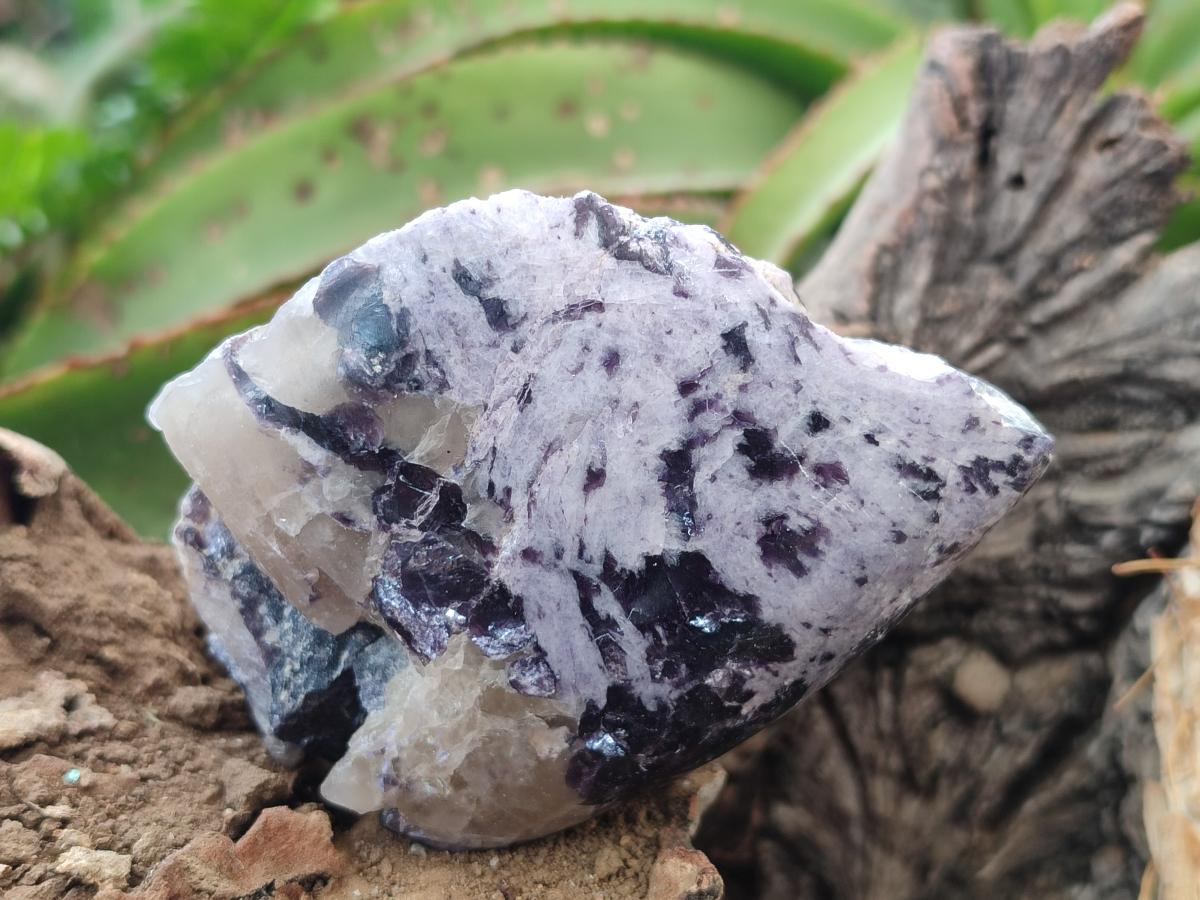 Polished One Side Lithium Silver Leaf Lepidolite x 12 From Zimbabwe
