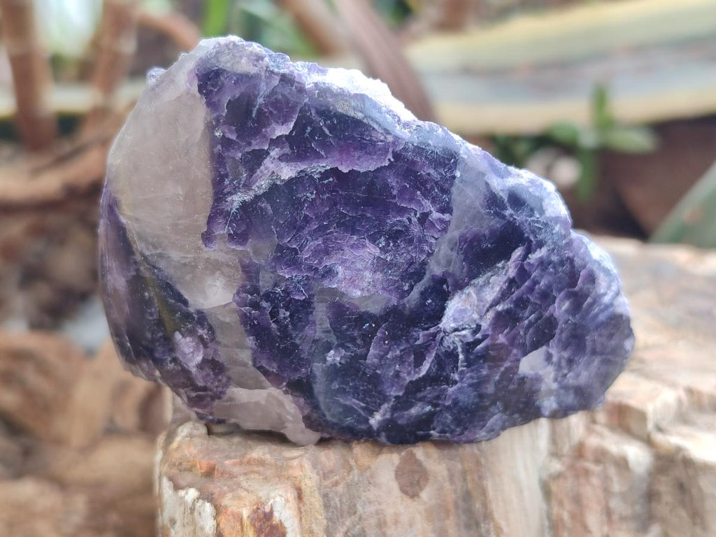 Polished One Side Lithium Silver Leaf Lepidolite x 12 From Zimbabwe