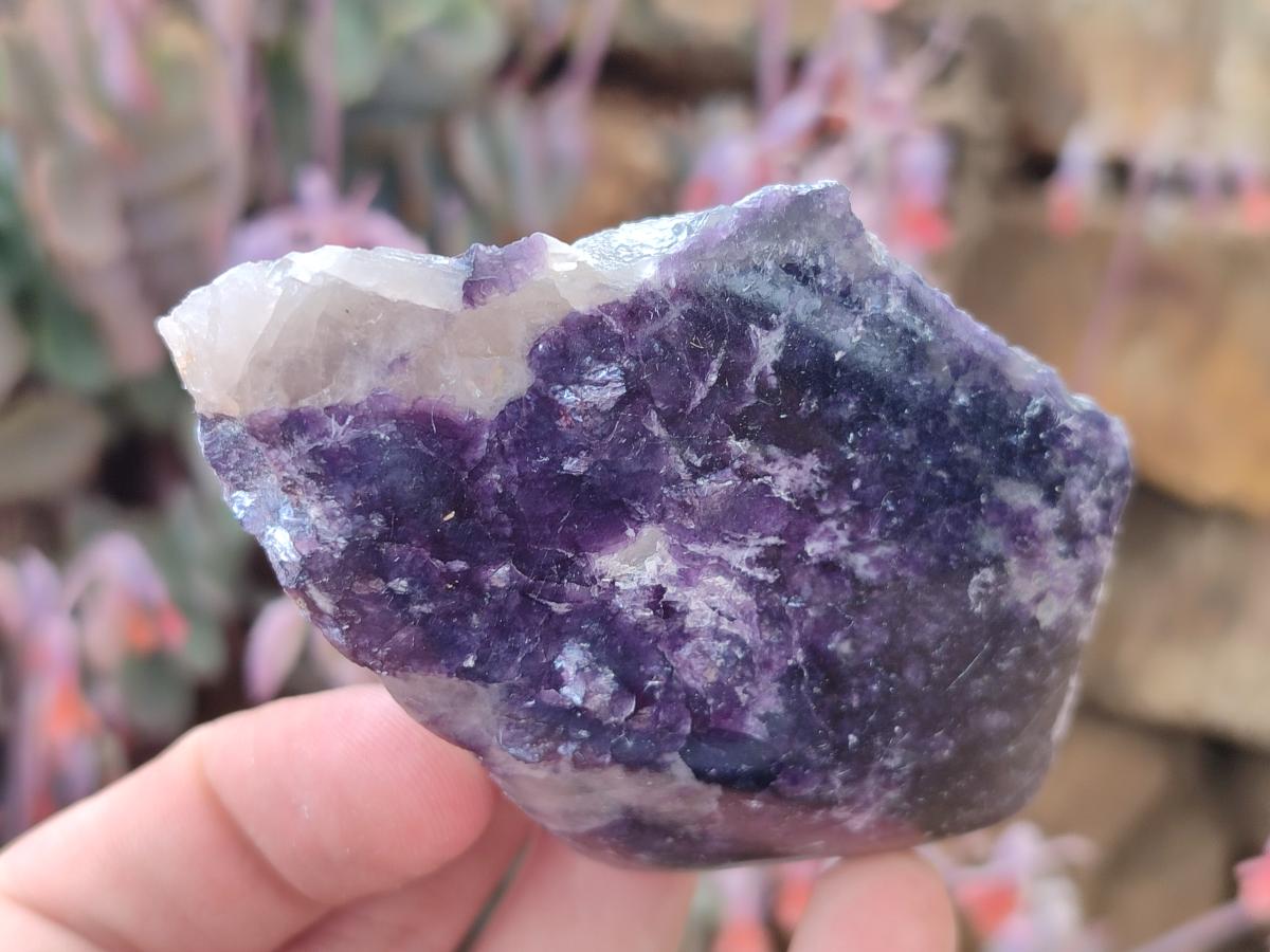 Polished One Side Lithium Silver Leaf Lepidolite x 12 From Zimbabwe