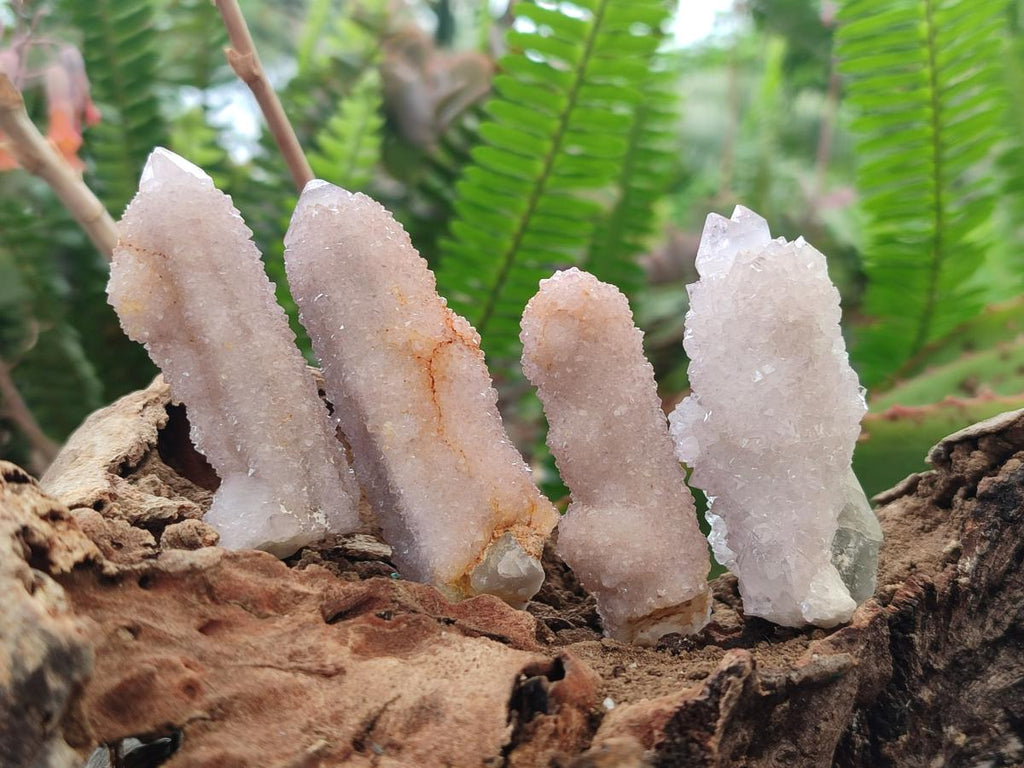 Natural Lilac Spirit Amethyst Finger Crystals x 35 From Boekenhouthoek, South Africa