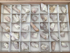 Natural Lilac Spirit Amethyst Finger Crystals x 35 From Boekenhouthoek, South Africa