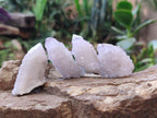 Natural Lilac Spirit Amethyst Finger Crystals x 35 From Boekenhouthoek, South Africa