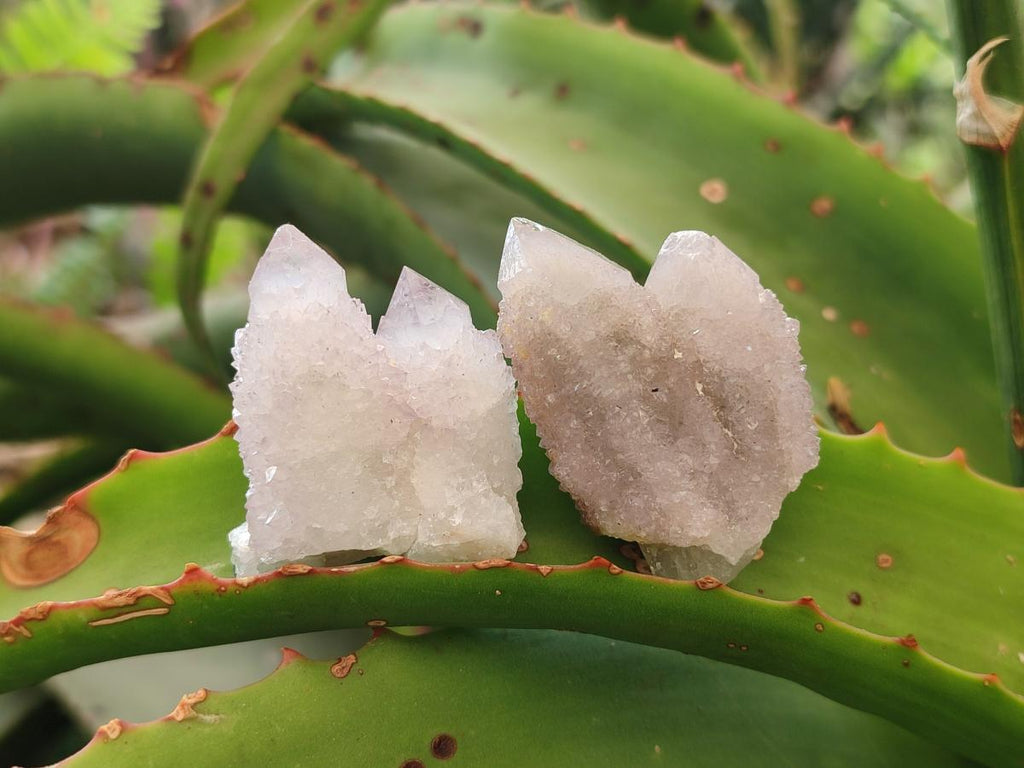 Natural Lilac Spirit Amethyst Finger Crystals x 35 From Boekenhouthoek, South Africa