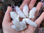 Natural Lilac Spirit Amethyst Finger Crystals x 35 From Boekenhouthoek, South Africa