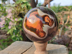 Polished Polychrome Jasper Spheres x 2 From Androka, Madagascar