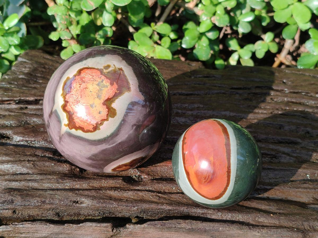 Polished Polychrome Jasper Spheres x 2 From Androka, Madagascar