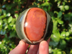 Polished Polychrome Jasper Spheres x 2 From Androka, Madagascar