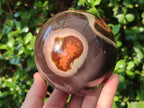 Polished Polychrome Jasper Spheres x 2 From Androka, Madagascar