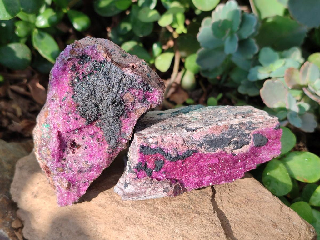 Natural Salrose Cobaltoan Dolomite Specimens x 4 From Kakanda, Congo