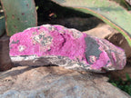 Natural Salrose Cobaltoan Dolomite Specimens x 4 From Kakanda, Congo