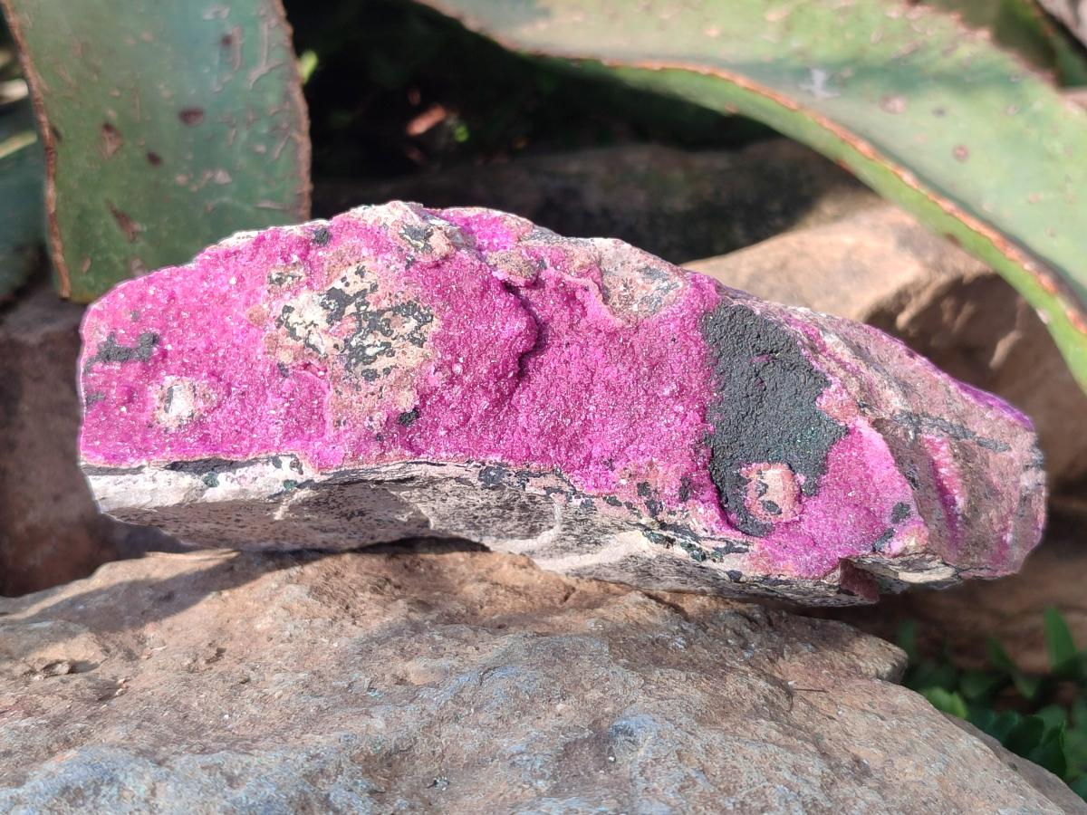 Natural Salrose Cobaltoan Dolomite Specimens x 4 From Kakanda, Congo