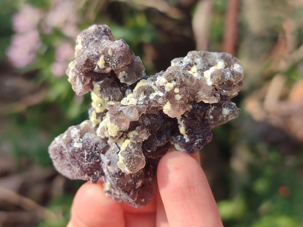 Natural Smokey and Purple Fluorite Specimens with Yellow Muscovite and Vermiculite Mica x 12 From Erongo, Namibia