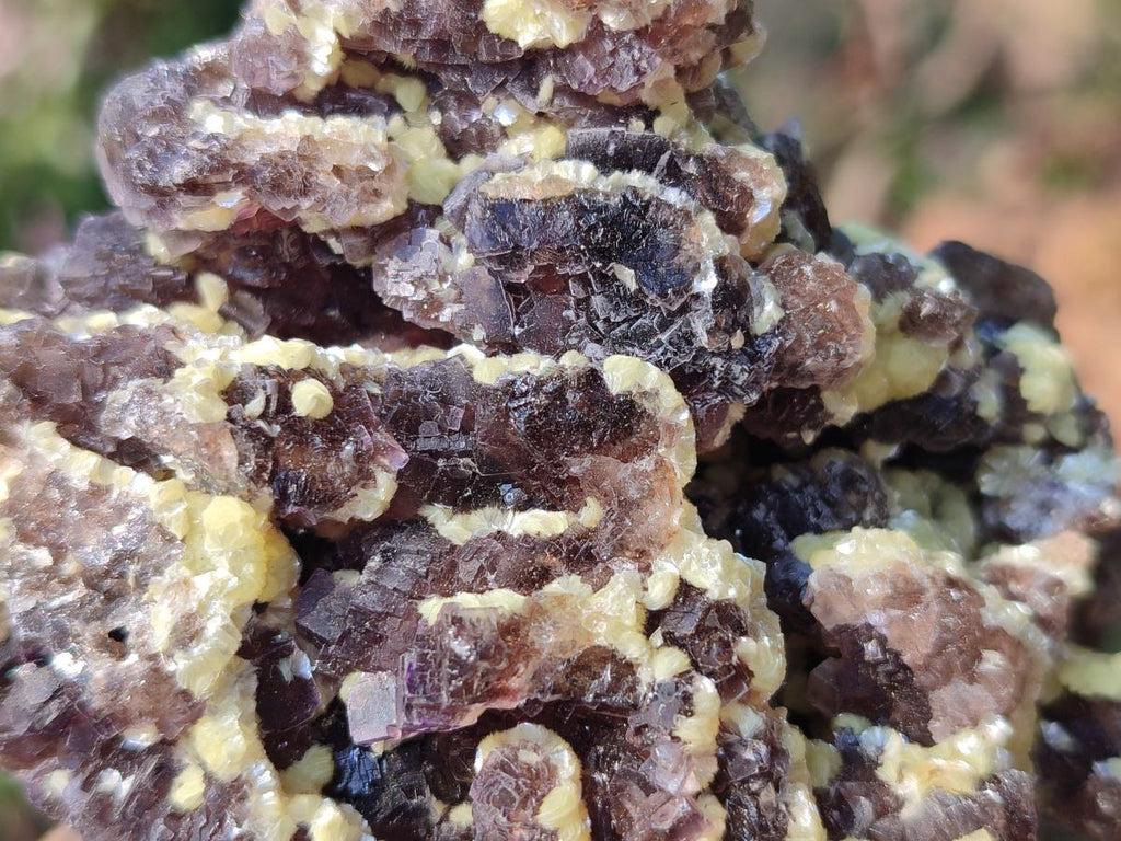 Natural Smokey and Purple Fluorite Specimens with Yellow Muscovite and Vermiculite Mica x 12 From Erongo, Namibia