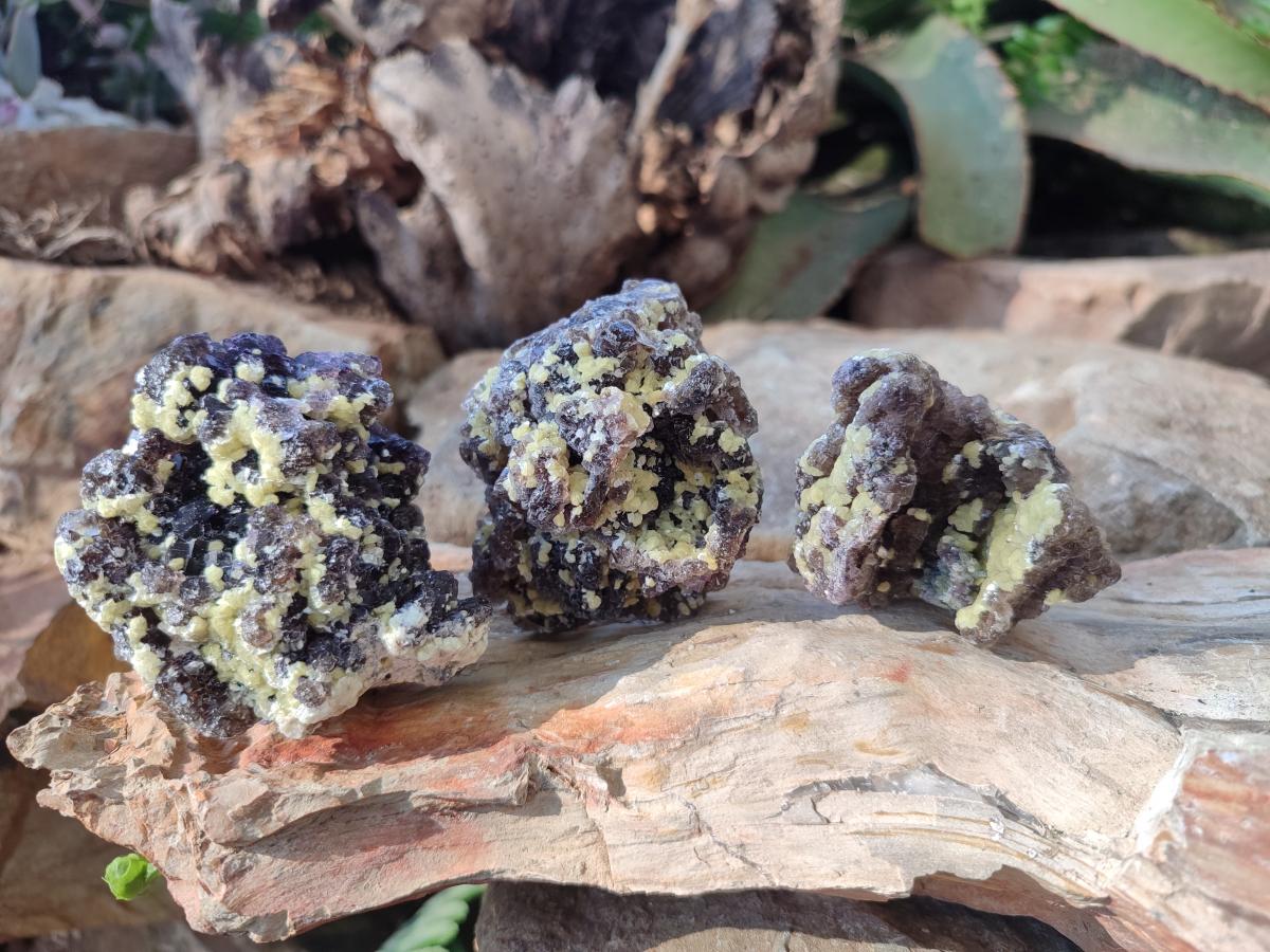 Natural Smokey and Purple Fluorite Specimens with Yellow Muscovite and Vermiculite Mica x 12 From Erongo, Namibia