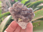 Natural Smokey and Purple Fluorite Specimens with Yellow Muscovite and Vermiculite Mica x 12 From Erongo, Namibia