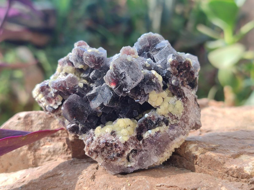 Natural Smokey and Purple Fluorite Specimens with Yellow Muscovite and Vermiculite Mica x 12 From Erongo, Namibia