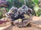 Natural Smokey and Purple Fluorite Specimens with Yellow Muscovite and Vermiculite Mica x 12 From Erongo, Namibia