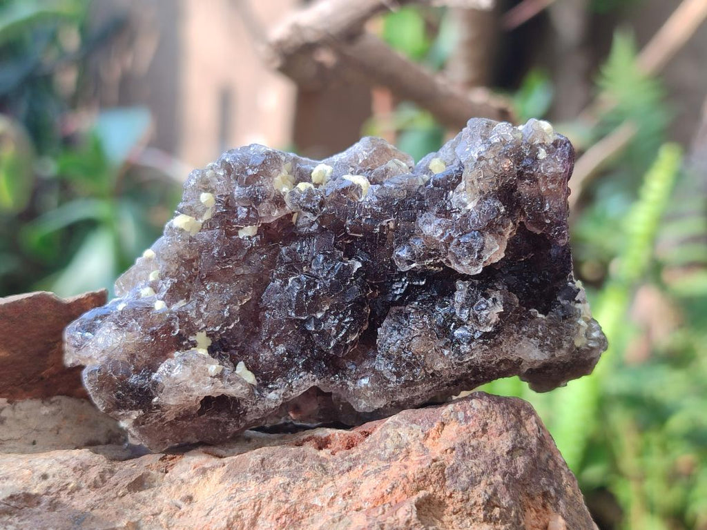 Natural Smokey and Purple Fluorite Specimens with Yellow Muscovite and Vermiculite Mica x 12 From Erongo, Namibia