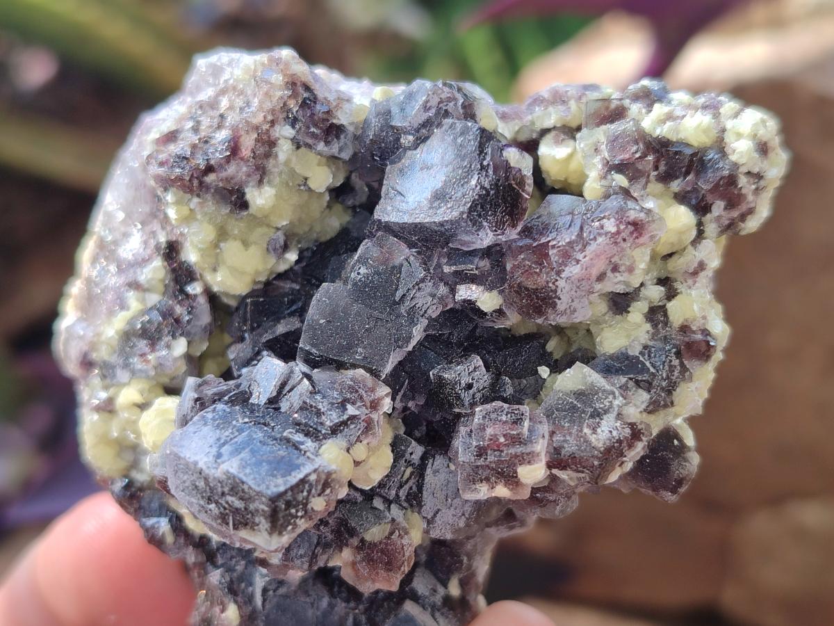 Natural Smokey and Purple Fluorite Specimens with Yellow Muscovite and Vermiculite Mica x 12 From Erongo, Namibia