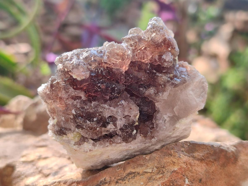 Natural Smokey and Purple Fluorite Specimens with Yellow Muscovite and Vermiculite Mica x 12 From Erongo, Namibia